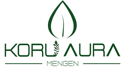 Koru Aura Mengen
